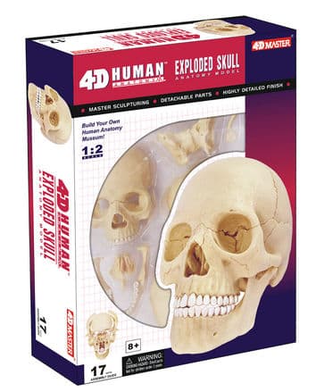 Tedco Toys 26086 4D Human Anatomy Exploded Skull