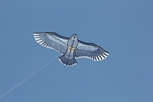 i am bird eagle kite huge 1.6m wing span,single line easy flying
