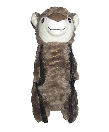 Happy Tails Squirrel Durables Dog Toy