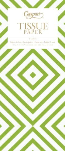 Green chevron stripe squares pattern Printed Caspari Tissue Wrapping Paper - 4 sheets