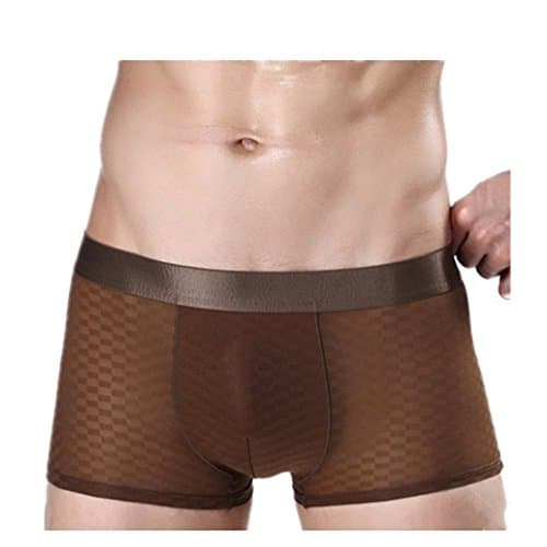 Letsshopping Summer Smooth Soft Men Sheer Bulge Pouch Mini Bikini Thin Boxer Trunks Briefs Underwear Underpants (L, Brown#4)
