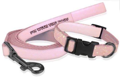 MTV's Jersey Shore Collar &amp; Leash Set, I'm With The Pouf, Pink