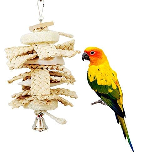 SWEETSTAN Loofah Cuttlefish Bone Parrot Chew Toy