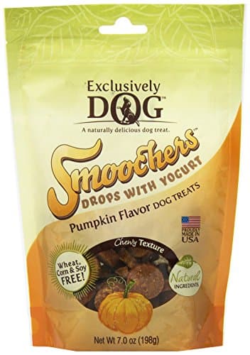 Smoochers Drops with Yogurt - Pumpkin Flavor Case Pack 12