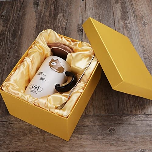Tea cups teacups coffee mugs light weight ceramic mug for with lid and spoon-K Gift Box 450ml
