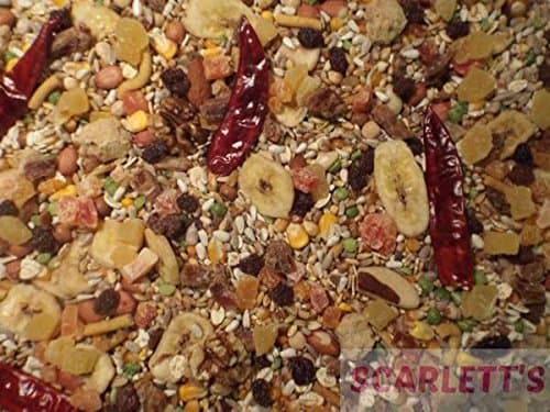 Tidymix Parrot Seed 2kg