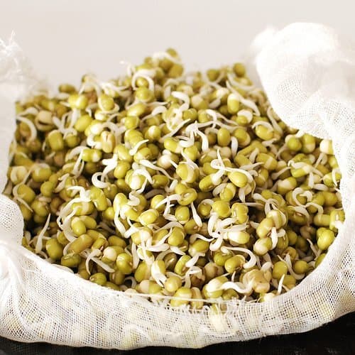 Green plants-ORGANIC SPROUTING SEED - MUNG BEAN - 200GM - BULK