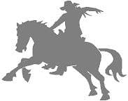 Global Graffix Cowboy on Bronc Wall or Auto Decal Sticker for Home or Auto Decor 8" x 7"