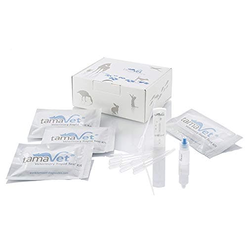 Rapid Test Coronavirus for Dogs and Cats