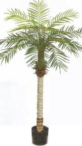 One 5 Foot Artificial Phoenix Palm Tree Potted Plant
