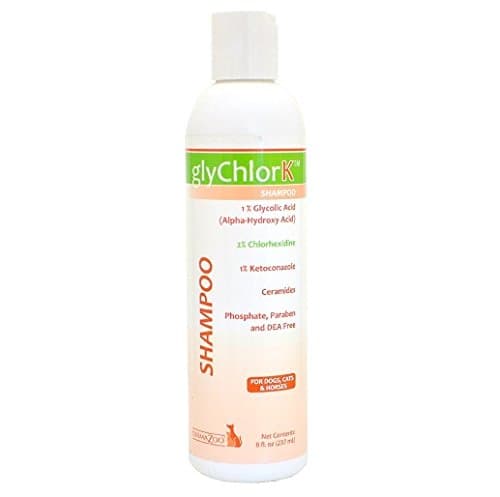 DermaZoo GlyChlorK Shampoo (8 fl oz)