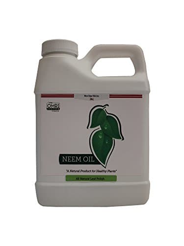 Neem Oil All Natural Leaf Polish