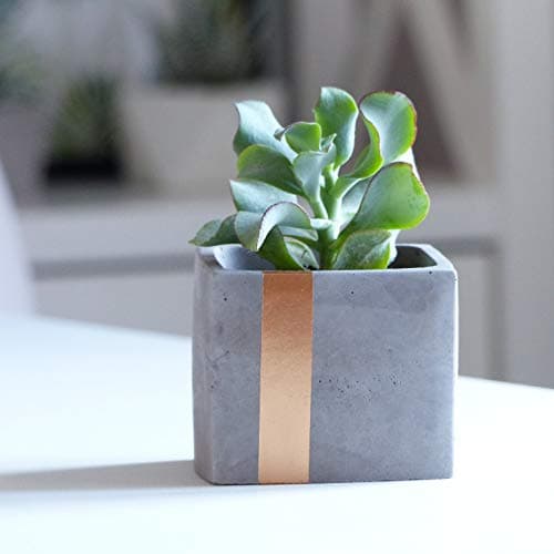 Atelier IDeco Handcrafted Modern Grey and Copper Cube Concrete Planter Box for Cactus