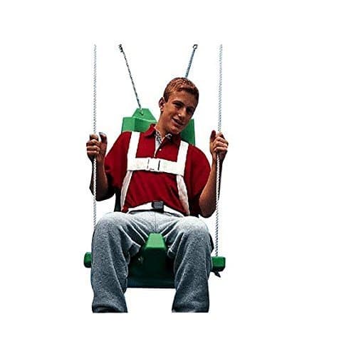 Flying Colors Swing stimulating vestibular function Seat by vestibular