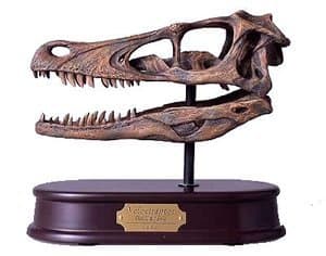 Dinostoreus Velociraptor Skull, Dinosaur Polystone Statue, Scale 1/1