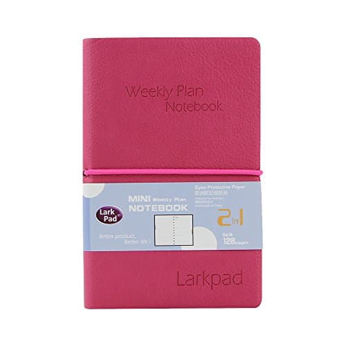 Larkpad Small Planner July 2018 - June 2019 with Inner Pocket, 3.5" x 5.5", Daily, Weekly, Monthly Planner, Calendar, Agenda, Organizer, Red