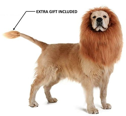 Theeb Lion Mane For Medium to Large Sized Dogs With Ears Plus FREE Lion Tail - SIMBA Lion King Mane For Dogs - Light Brown King of The Jungle Dog Wig For Your Best Friend - Dogs Party Costume