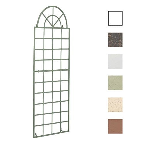 CLP Wall mountable Trellis VIVA in iron, support for climbing plants, 180 x 70 cm, to choose antique green