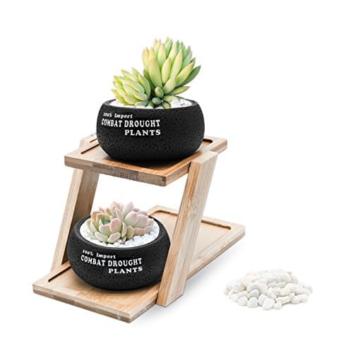 Puaida 2.95(pot) Inch Succulent Planter with Bamboo Tray, Round Black Plant Pot for Succulent Plants, Small Cactus and Herbs with Bamboo Tray and Stone for Room Decor- Set of 2