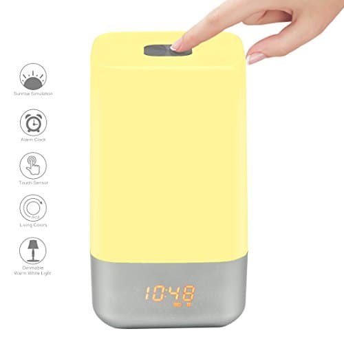 Pure light ，Smart lights，Wake Up Light, Sunrise Simulation Alarm Clock Night Light，Bedside Lamp Vibrant Atmosphere RGB Lamp USB Cable,Touch Sensor Multicolor Night Light