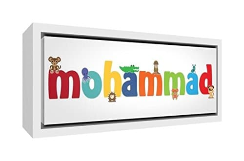 Feel Good Art Cute Illustrative Design Framed Box Canvas with Solid White Wooden Surround (19 x 46 x 3 cm, Small, Mohammad)