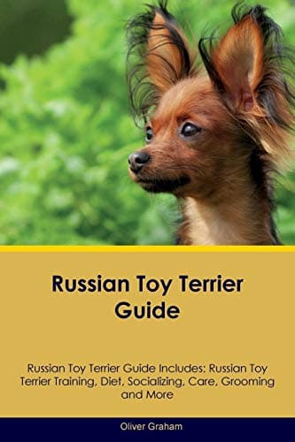 Russian Toy Terrier Guide Russian Toy Terrier Guide Includes: Russian Toy Terrier Training, Diet, Socializing, Care, Grooming, Breeding and More Paperback – 2 Aug. 2016