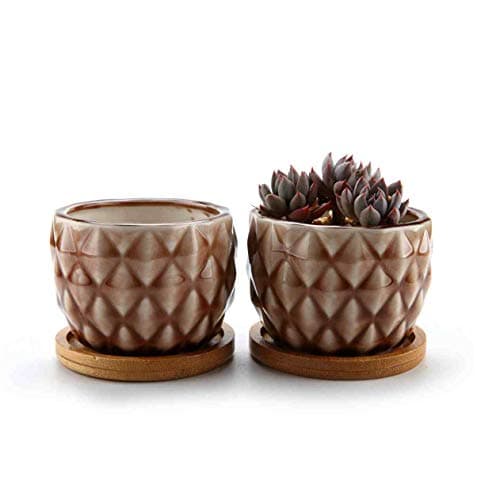 ComSaf 8.3CM Ceramic Succulent Cactus Planter Pot Set with Bamboo Tray Pack of 2 - Pineapple Shape Brown, Home and Office Decoration Desktop Windowsill Bonsai Pots Wedding Birthday