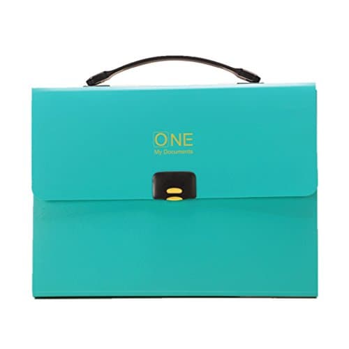 Expanding Accordion File Folder with Buckle Closure Handle and Tabs 13 Pockets A4 Size 2 Colors (Green)