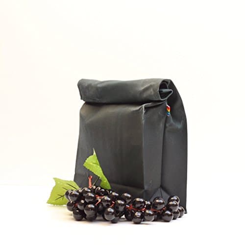 Lunch Bag - Forest Green Waxed Canvas