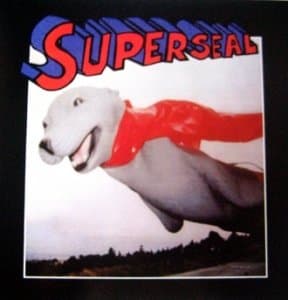 Super Seal Scratch Record 7" Baby Seal White