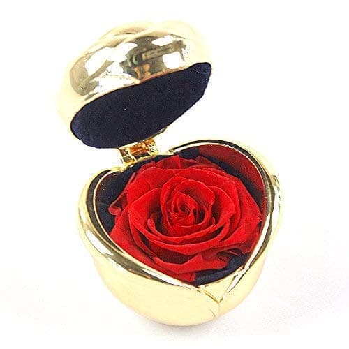 Preserved Flower Rose Never Withered Rose, Upscale with for Valentine's Day, Mother's Day, Thanksgiving Day, Christmas, Anniversary, Birthday, Gift for Her, Girls (Gold&Red)