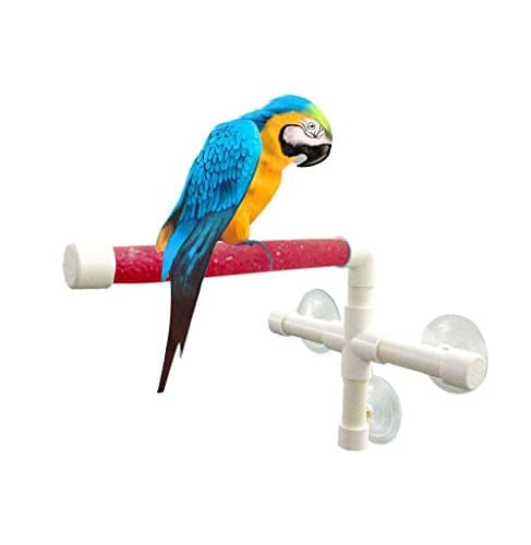 UPGRADE Protable Bird Shower Stand with Suction Cup, Non-slip Bath Perch Toys for Parrot Macaw African Greys Budgies Cockatoo Parakeet Cockatiel Conure Lovebirds (Red)