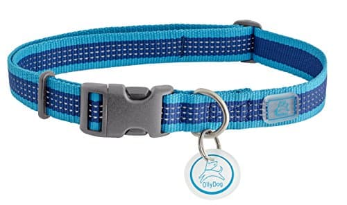 OllyDog MTN Reflective Collar, Large, Aloha Blue