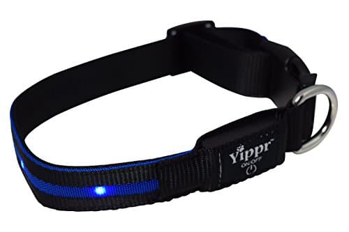 Yippr USB Rechargeable LED Nylon Dog Collar with 4 Settings, Large, Blue