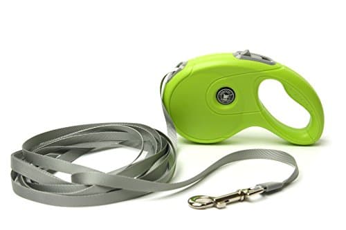 Retractable Dog Leash - Training Lead - Long 16 ft Strong Dog Walking Leash with One Button Brake &amp; Lock Best for Small Medium Large Dogs - Strong and Durable Ribbon Tape, Tangle Free
