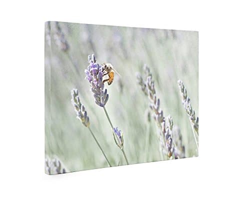 Large Canvas Print, Lavender Wall Art Rustic Floral Wall Decor, ‘Lavender for Bees’