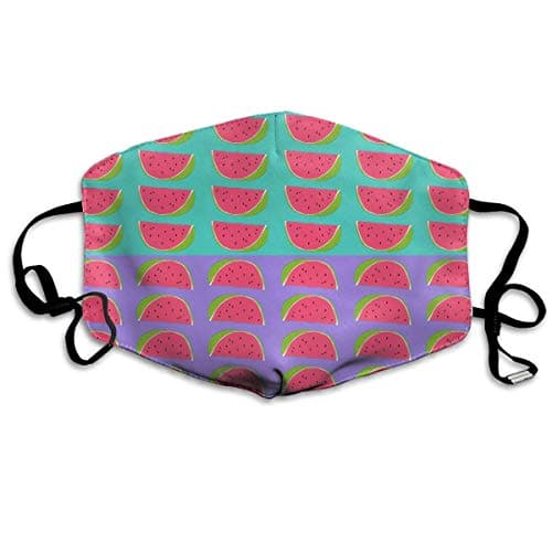 Watermelons Fruit Pattern Mask - Filters Dust, Pollen,Allergens, Cold & Flu Germs - Allergy Mask - Ideal for Airplane Travel, Antimicrobial£¬