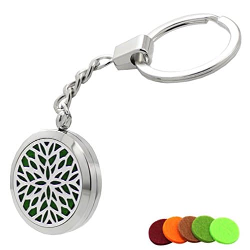 Gergroy Aromatherapy Essential Oil Diffuser Key Chain, Stainless Steel Locket Keychain,5 Refill Pads (Style 1)