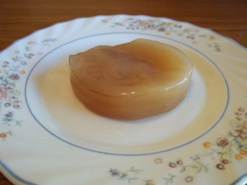 Poseymom Kombucha Tea Scoby Starter Thick by Poseymom