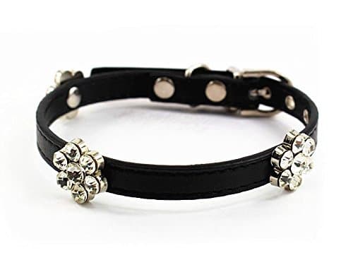 Mora Pets Cute Diamond Flower Designer Collar│Pretty, Soft and Durable Leather Collar for Puppies, Small Dogs and Cats│6 Colors Available