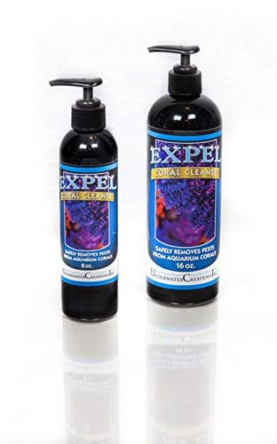 Expel Coral Cleanse Dip 16 oz Vibrant