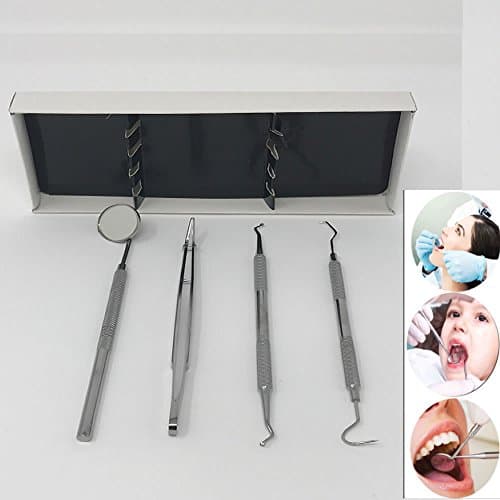 4 PC DENTAL TOOTH PICK PIC PROBE SET KIT HYGIENE TOOLS STAINLESS STEEL