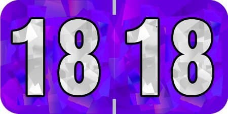 PMA 2018 File Folder Labels (Compatible), Holographic Purple, 500/Roll, 1 Roll, 3/4" x 1-1/2" - (2 Rolls)