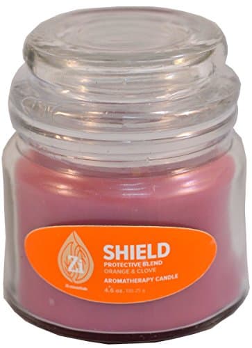 Shield Protective Blend (Orange &amp; Clove) Aromatherapy Candle. 4.5oz Apothecary Jar - Zi Essentials…