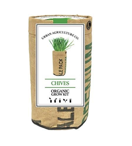 Urban Agriculture Herb Garden - Chive