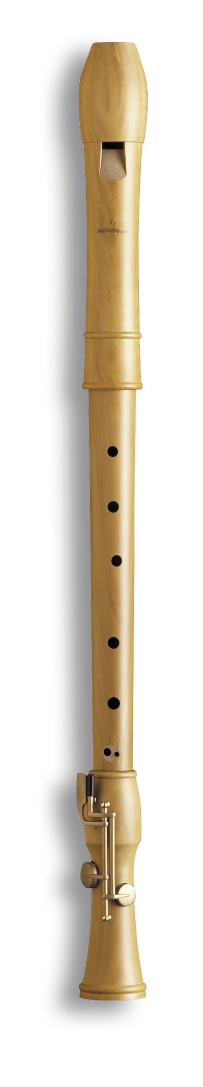 Mollenhauer 2446 Canta Tenor