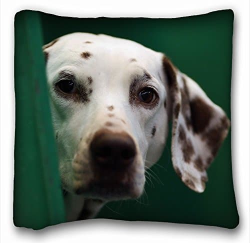 Decorative Square Throw Pillow Case Animals dog dalmatian s face blurring 18"*18" Two Side