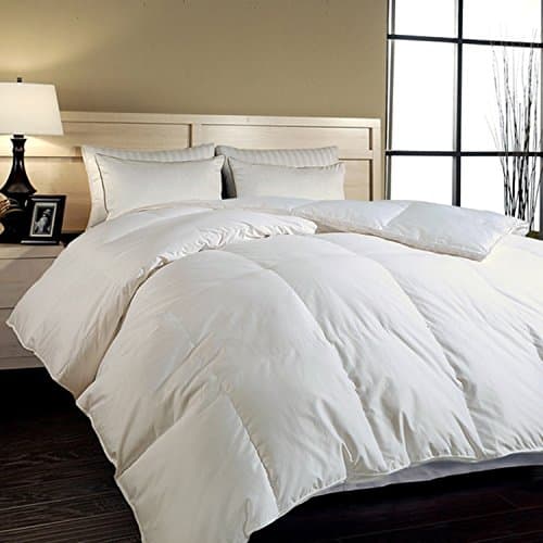Elliz Medium Fill European White Goose Down Comforter 340 Thread Count 600 Fill Power, Full/Queen size, White