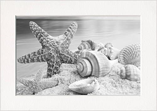 Sea Shells on the Beach Print in a Textured A4 Card Picture Mount - ready for you to put into your own A4 frame. Made in Britain by Pixel Zone by Pixel Zone