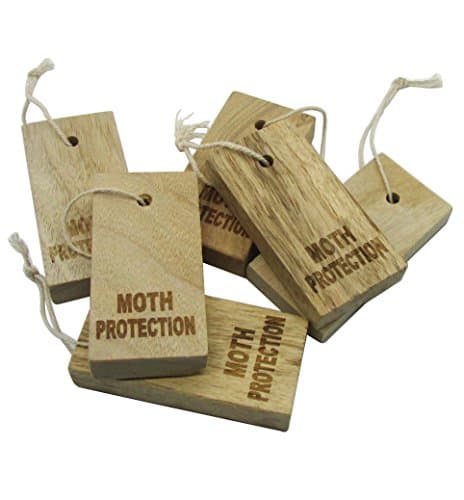 Moth Protection - Storage Essentials Fresh Cinnamomum Camphora Root for Repelling Clothes Moths And Other Pests ( Moth Repellent 6 blocks )
